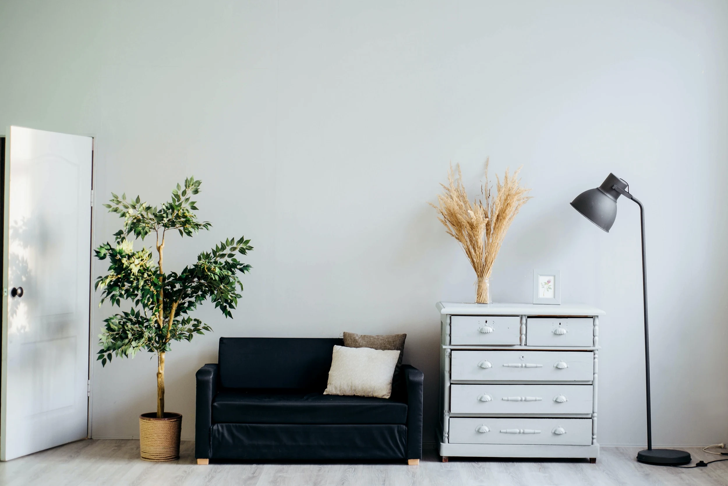 Minimalist interior with black sofa, potted plant, and white chest of drawers